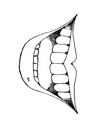 English Worksheet: types of teeth