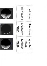 English Worksheet: moon phases