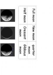 moon phases