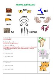 English Worksheet: animal body description