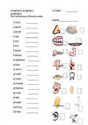 English Worksheet: Anagrams on body parts