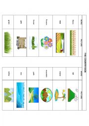 English Worksheet: COUNTRYSIDE