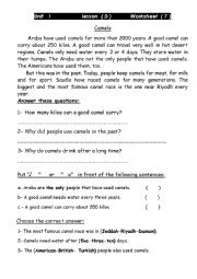 English Worksheet: reading