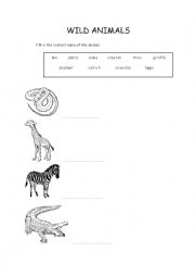 English Worksheet: Wild animals