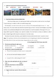 English Worksheet: environment worksheet