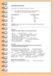 English Worksheet: Possessive Adjectives