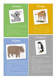 English Worksheet: Animal facts - Koala, Dingo, Hippo, Penguin (1/2)