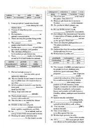 English Worksheet: 7.4 Vocabulary Test (English Route)