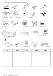 English Worksheet: animal movement