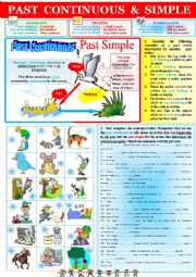 English Worksheet: Grammar Rules PAST CONTINUOUS vs PAST SIMPLE + exercises