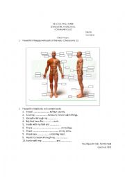 English Worksheet: parts of body