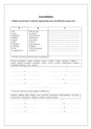 English Worksheet: consolidation 9th form