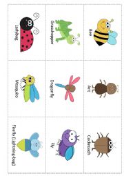 English Worksheet: Insects