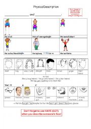 English Worksheet: physical description