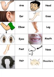 English Worksheet: Parts of the body