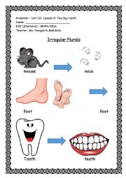 English Worksheet: Irregular plurals