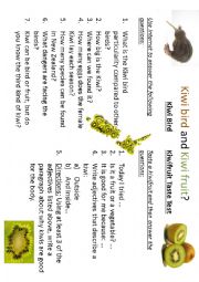 Kiwibird and kiwifruit