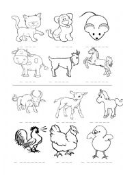 English Worksheet: Animals 1/4