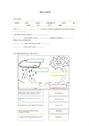 English Worksheet: Water