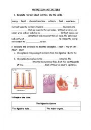 English Worksheet: Nutrition Activities