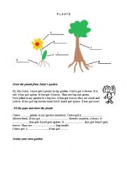 English Worksheet: Plants