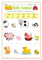 English Worksheet: Baby Animal