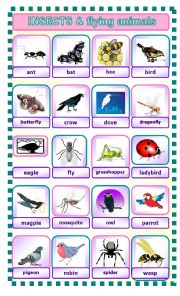 English Worksheet: INSECTS AND FLYING ANIMALS