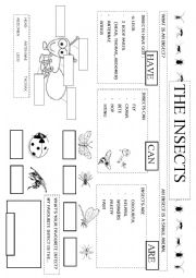 English Worksheet: The insects