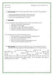 English Worksheet: the photosynthesis process