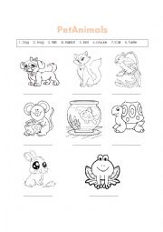 English Worksheet: Pet Animals 