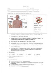 English Worksheet: English test - Dengue Fever