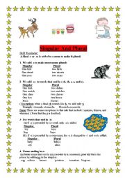 English Worksheet: singular and plural (definitions and activities)