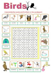 BIRDS WORDSEARCH