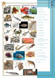 English Worksheet: fish and seafood 1