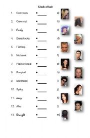 English Worksheet: Hairstyles 