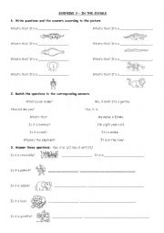 English Worksheet: in the jungle