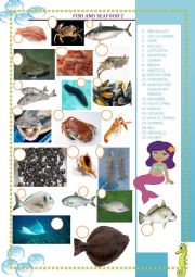 English Worksheet: fish and seafood 2