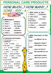 English Worksheet: Personal Care Products/ any-a-some-how much-how many