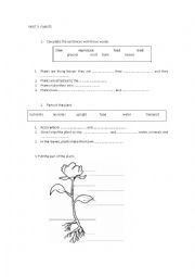 English Worksheet: PLANTS