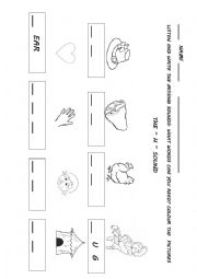 English Worksheet: The 