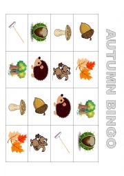 English Worksheet: Autumn Bingo