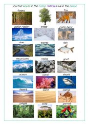 English Worksheet: Habitats - SPEAKING activity