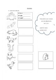 English Worksheet: ANIMALS IN THE GARDEN