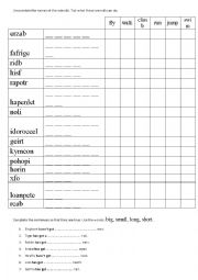 Animals worksheet