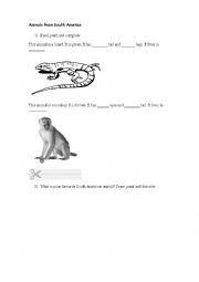 English Worksheet: Animals from South America