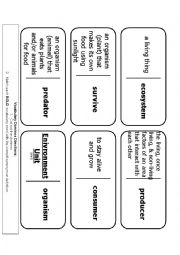 English Worksheet: Science Vocabulary Dominoes