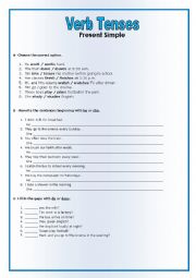 English Worksheet: present simple test 