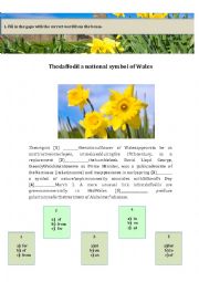 English Worksheet: The daffodil a national symbol of Wales