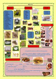 English Worksheet: Meat