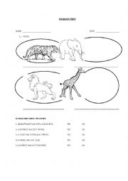 WILD ANIMALS TEST